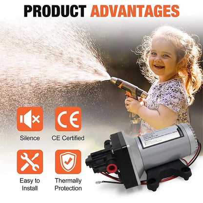 12v Replacement SHURflo 4009 Water Pump-DELIVERY ONLY