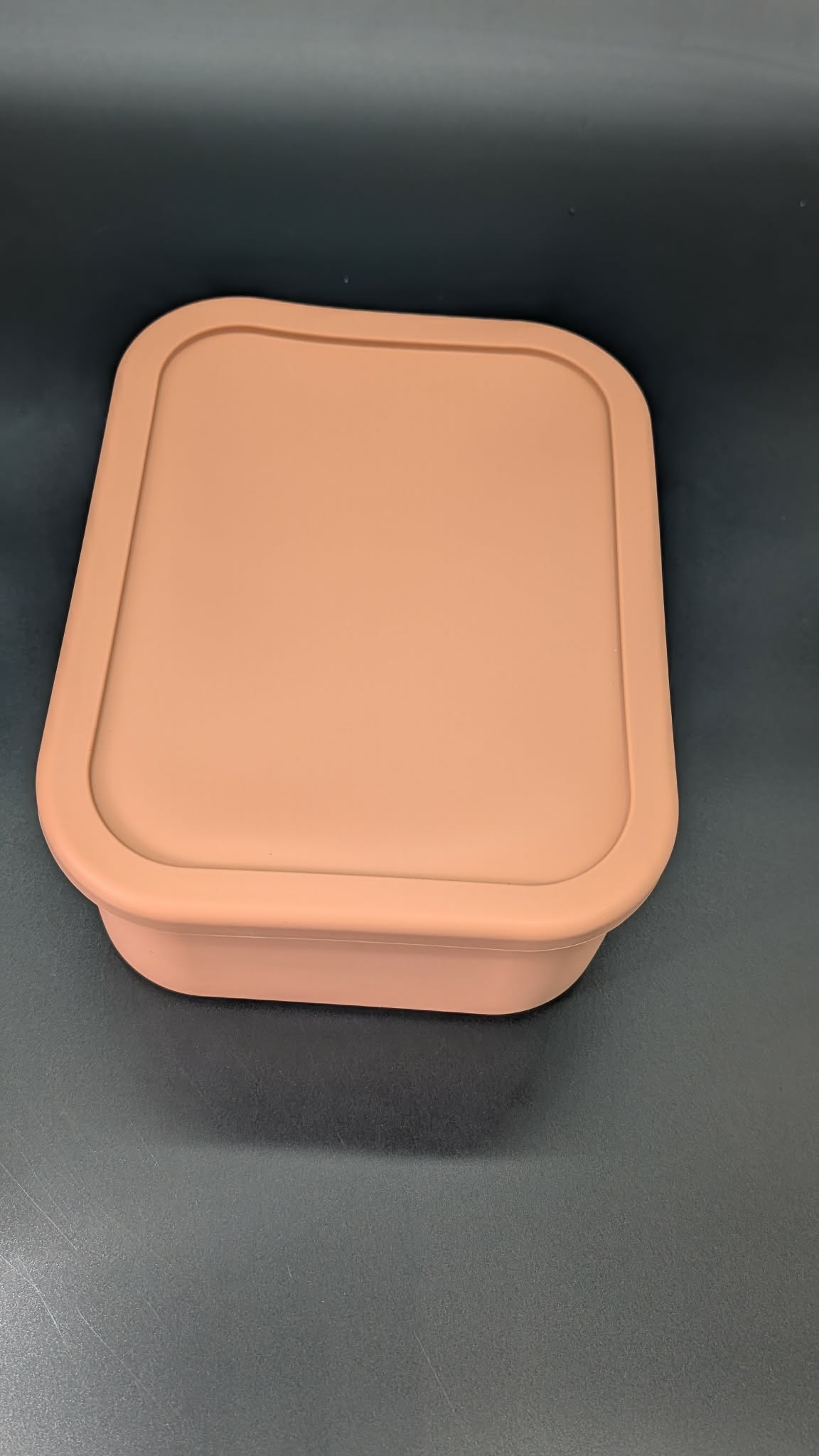 Silicone Bakeware - Freezer to Oven