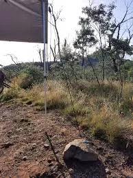 Cinch Premium Ratchet Rope Tie Down - 1 pack